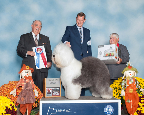 October 19, 2019 Show Pictures – Albany Kennel Club